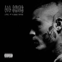 LIL SKIES - LIFE OF A DARK ROSE - Vinyl Record VINYL