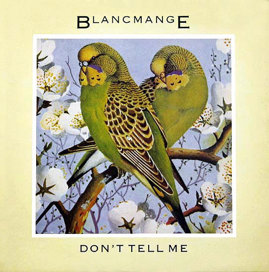 Blancmange - Don't Tell Me - Used Vinyl Record 12"