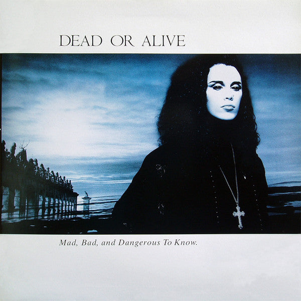 Dead Or Alive - Mad, Bad, And Dangerous To Know - Used Vinyl Record