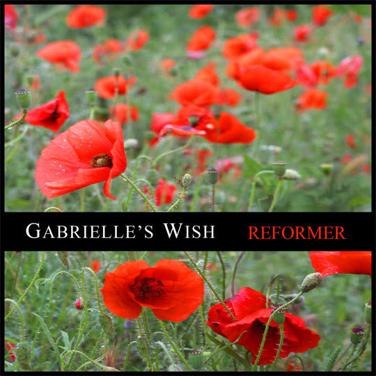 Gabrielle's Wish - Reformer - CD