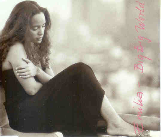 Emilia - Big Big World - Used CD