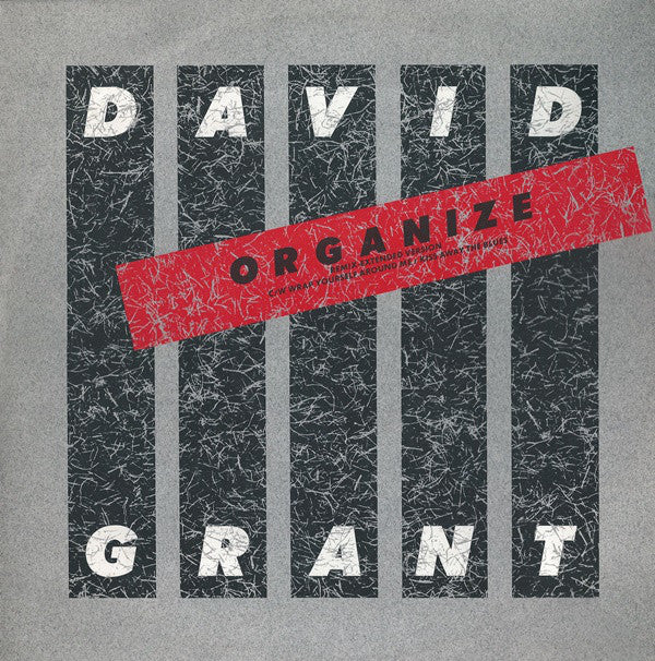 David Grant - Organize - Used Vinyl Record 12"