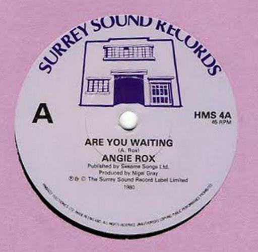 Angie Rox - Are You Waiting - Used Vinyl Record 7"