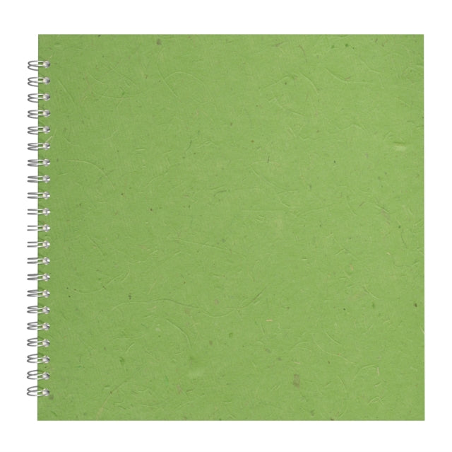 11x11 Posh Black Display 25lvs Emerald Banana - Paperback