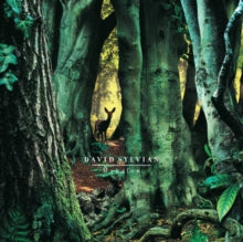 SYLVIAN - MANAFON - Vinyl Record L.P. SET