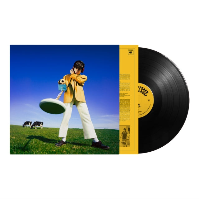 MCKENNA - WHAT HAPPENED TO THE BEACH? - Vinyl Record