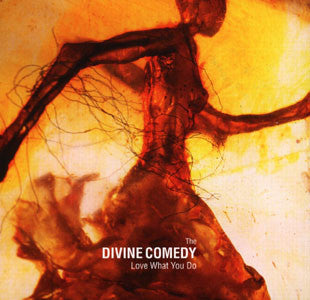 Divine Comedy - Love What You Do - Used CD