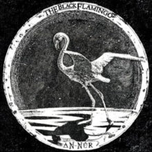 Black Flamingo - An-Nur - Vinyl Record