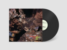 JOSEPH DECOSIMO - BEEHIVE CATHEDRAL - Vinyl Record VL