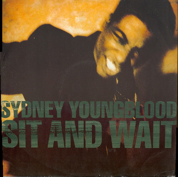 Sydney Youngblood - Sit And Wait - Used Vinyl Record 12"