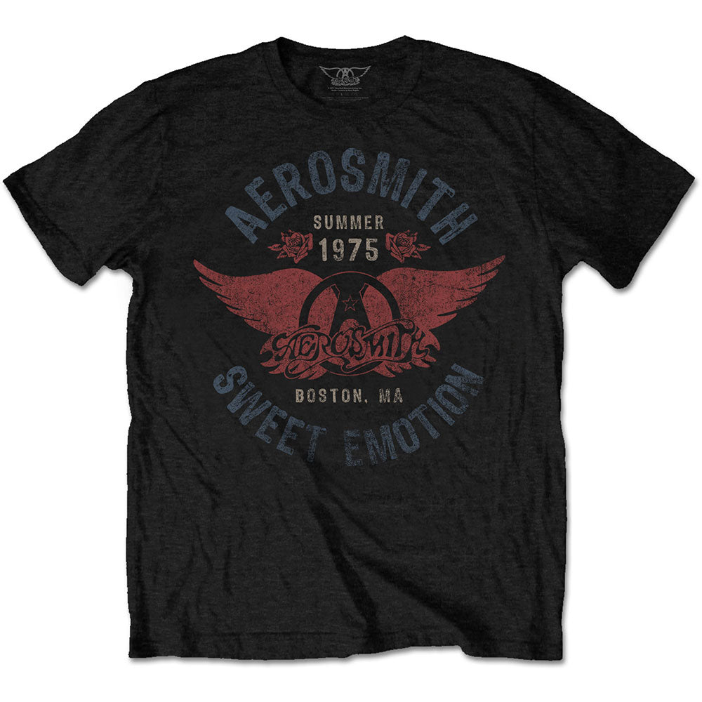 Aerosmith - tshirt - Unisex - Short Sleeves - Medium