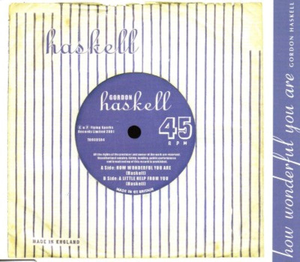 Gordon Haskell - How Wonderful You Are - Used CD