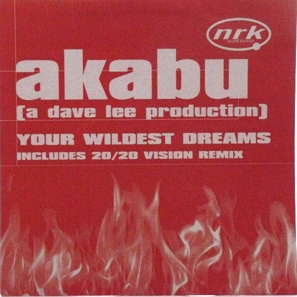 Akabu - Your Wildest Dreams - Used Vinyl Record 12"