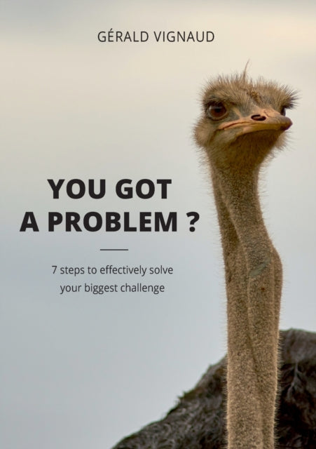 Vignaud - You got a problem ? 7 steps to effectively solve your bigges