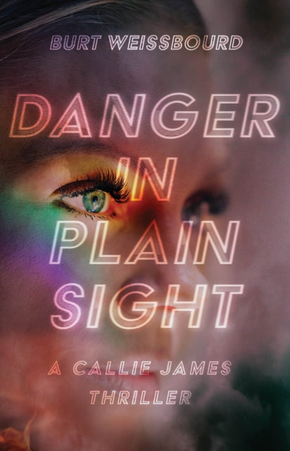 Burt Weissbourd - Danger in Plain Sight - Paperback