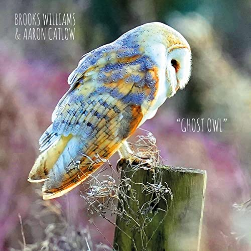 Ghost Owl - Brooks Williams & Aaron Catlow - CD RELEASE DATE 08/09/23