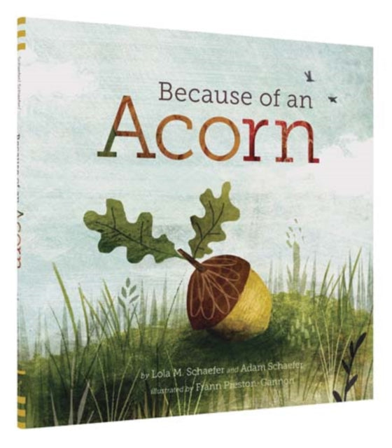 Adam Schaefer - Because of an Acorn - New Hardback
