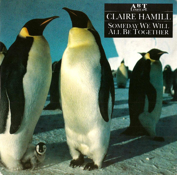 Claire Hamill - Someday We Will All Be Together - Used Vinyl Record 7