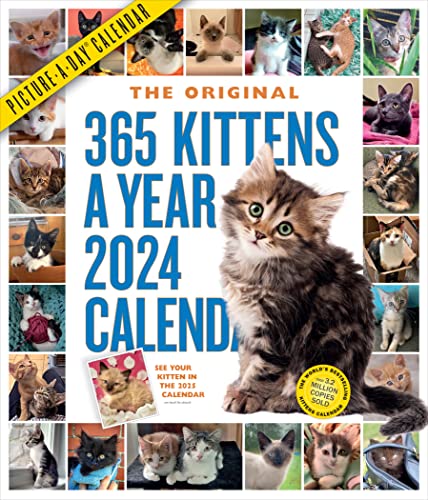 365 Kittens-A-Year Picture-A-Day Wall Calendar 2024 : Absolutely Spill