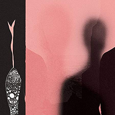H. Hawkline - In The Pink Of Condition - CD