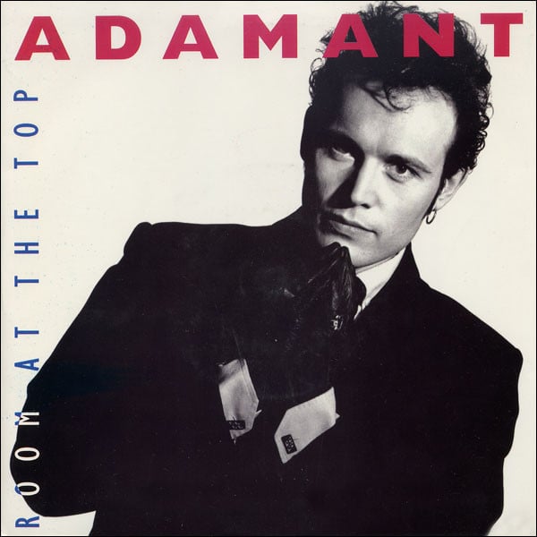 Adam Ant - Room At The Top - Used Vinyl Record 7"
