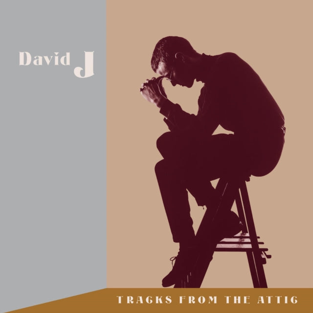 David J - Tracks From The Attic - CD