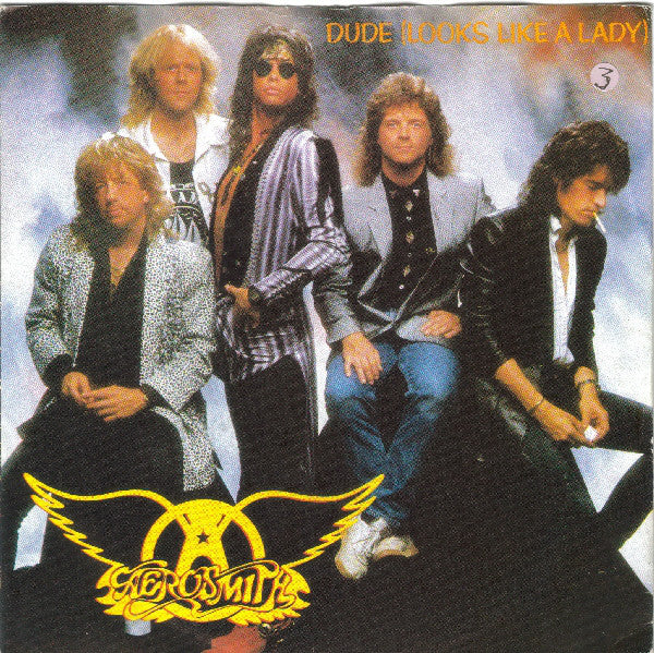 Aerosmith - Dude (Looks Like A Lady) - Used Vinyl Record 7"