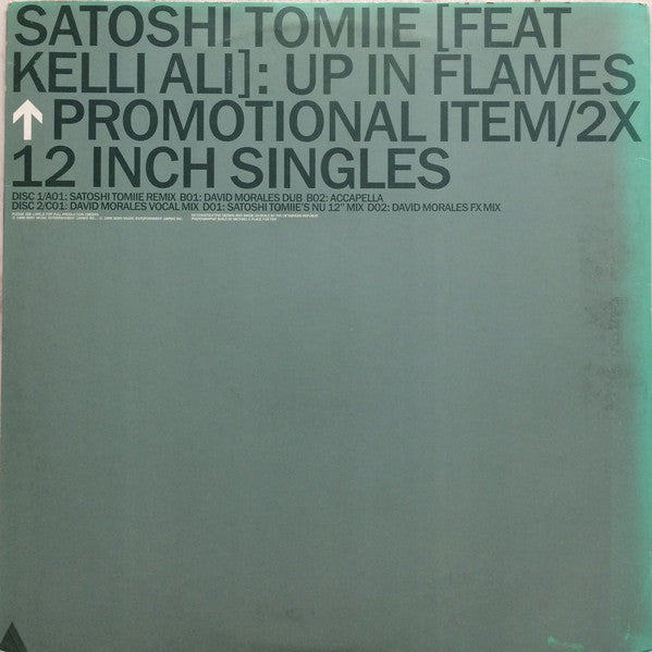 Satoshi Tomiie - Up In Flames - Used Vinyl Record 12"