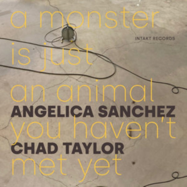 SANCHEZ ANGELICA - C - A MONSTER IS JUST AN ANIMAL YO - CD