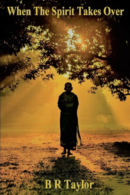 aylor - When The Spirit Takes Over - New paperback or softback