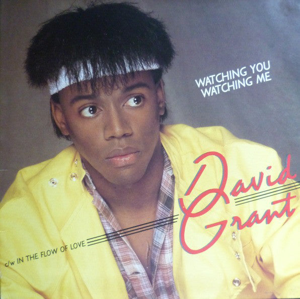 David Grant - Watching You, Watching Me - Used Vinyl Record 7"