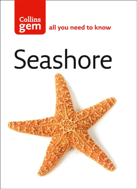 Seashore - Paperback