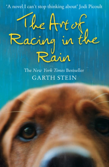 Garth Stein - Art of Racing in the Rain - Paperback