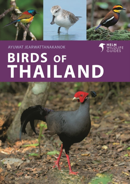 Ayuwat Jearwattanaka - Birds of Thailand - Paperback