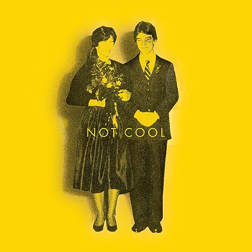 TIM EASTON - NOT COOL - Vinyl Record