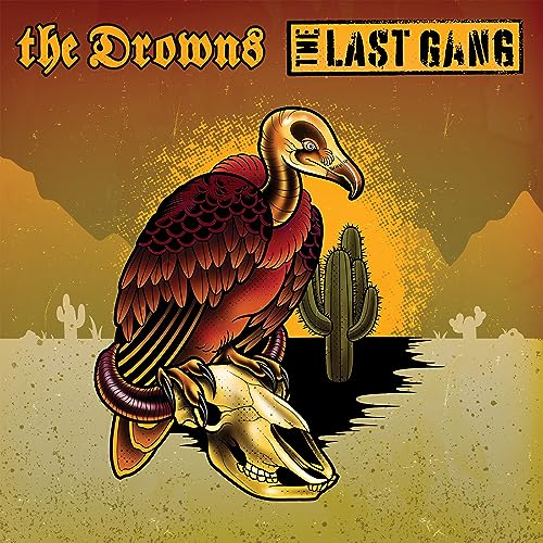 DROWNS - , SPLIT - Vinyl Record