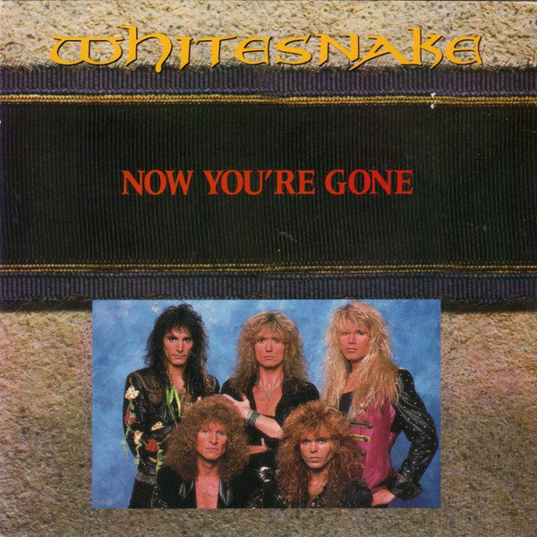 Whitesnake - Now You're Gone - Used Vinyl Record 7"