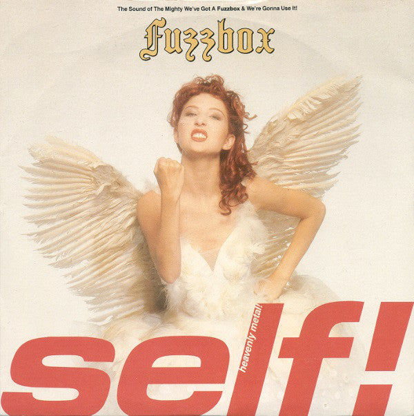 We've Got A Fuzzbox - Self! - Used Vinyl Record 7"