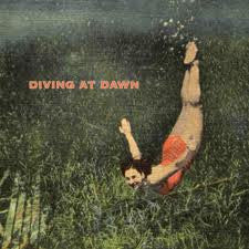 Diving At Dawn - A Lot Like Love / The Spinney - Used Vinyl Record 7"