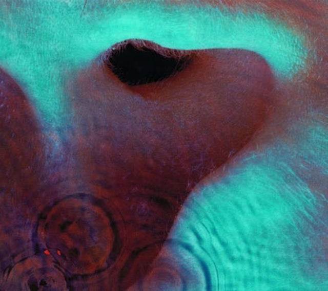 PINK FLOYD - MEDDLE - CD