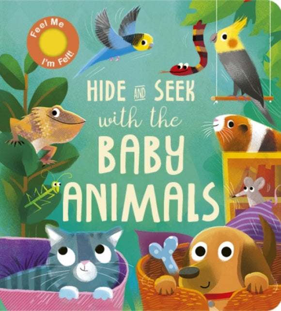 Molly Littleboy - Hide and Seek with the Baby Animals - Board book