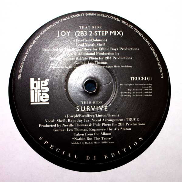 Truce - Joy - Used Vinyl Record 12"