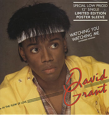 David Grant - Watching You Watching Me - Used Vinyl Record 12"