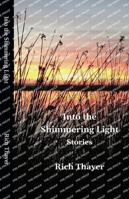 ayer - Into the Shimmering Light Stories - New paperback or softback
