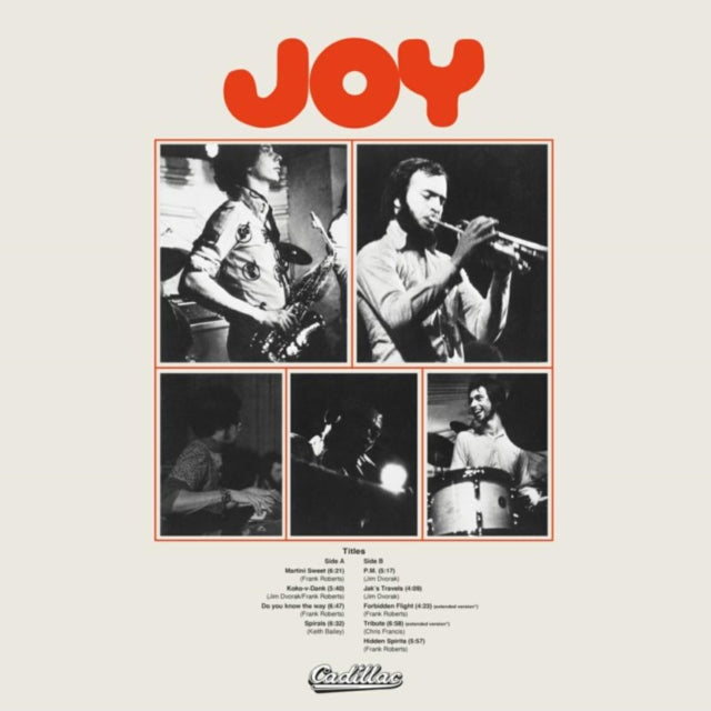 Joy - Vinyl Record