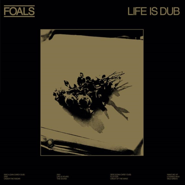 Foals - Life Is Dub - Vinyl Record Vinyl