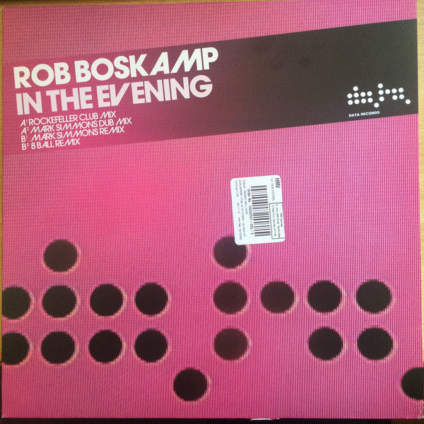 Rob Boskamp - In The Evening - Used Vinyl Record 12"