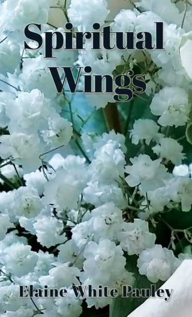 Pauley - Spiritual Wings - New paperback or softback