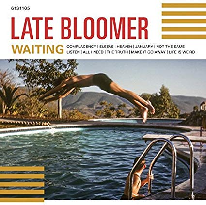 Late Bloomer - Waiting - Vinyl Record