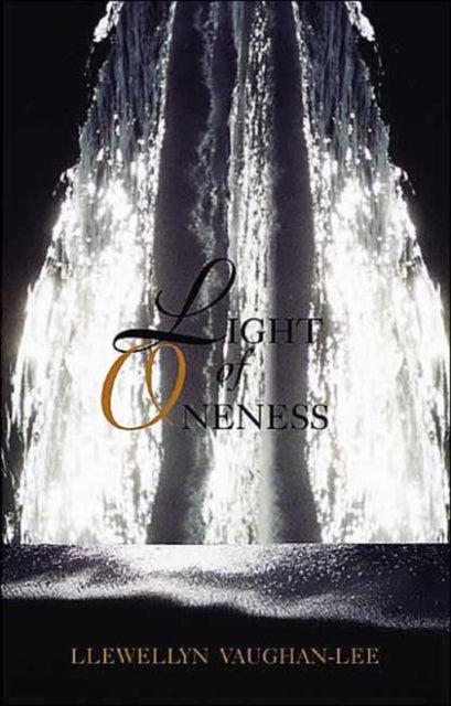 Llewellyn Vaughan-Le - Light of Oneness - New Paperback